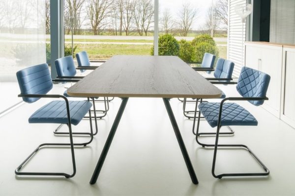 Huislijn Alfa Vergaderstoelen Sledeframe